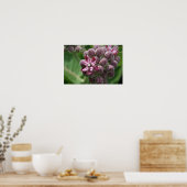 ヒワの一般的な花植物 ポスター (キッチン)