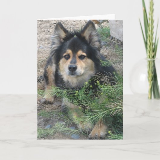 "ヒント" カード (正面)