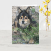 "ヒント" カード (黄色い花)