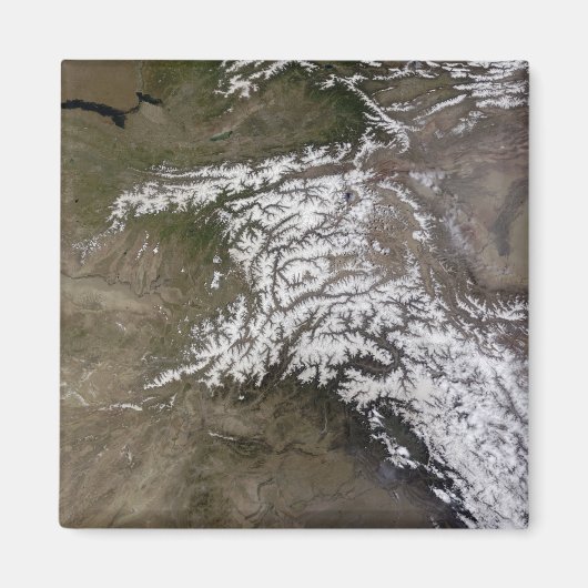 ヒンドゥー教のクシュ マグネット (正面)