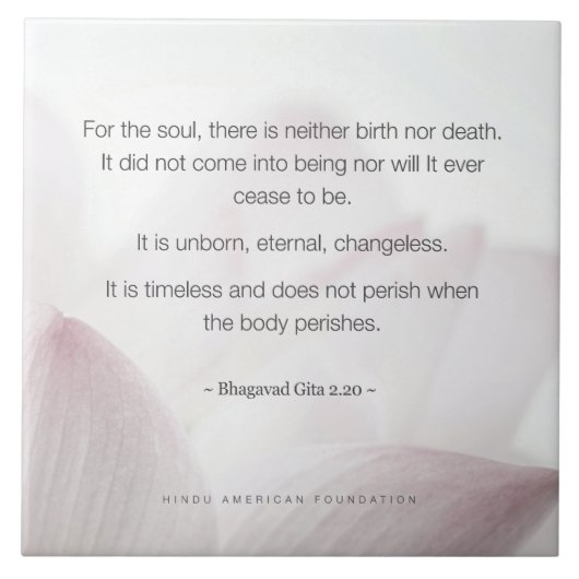 ヒンドゥー教忌避記念 タイル (正面)