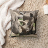 ヒンラミックのデュオ クッション (ブランケット)