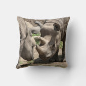 ヒンラミックのデュオ クッション (裏面)