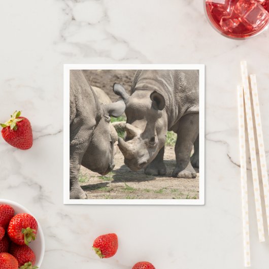 ヒンラミックのデュオ スタンダードカクテルナプキン (インサイチュ)