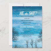 ヒーまたはシー スノーフレーク ウィンター ワンダーランド ベイビー シャワー 招待状 (正面)