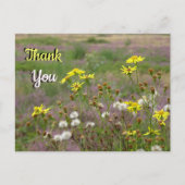 ヒースと白い黄色の花のTHANK YOU ポストカード (正面)