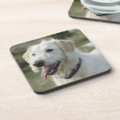 ヒースの土地の犬 コースター (左側)