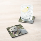 ヒースの土地の犬 コースター (右側)