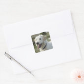 ヒースの土地の犬 スクエアシール (封筒)