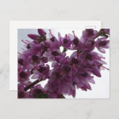 ヒース花閉じるDIYポストカード ポストカード (正面/裏面)