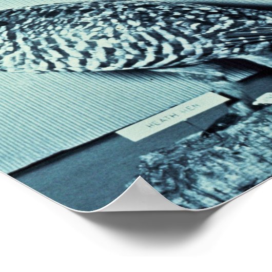 ヒース・ヘン ポスター (角)