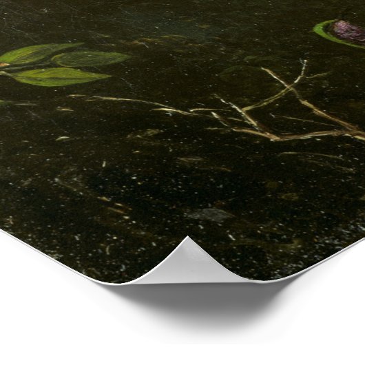 ヒード – 蘭の花 ポスター (角)