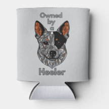 ヒーラー所有（青）