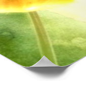 ヒーラー・アニタ・フゴソのヴィンテージ紙愛に関する手紙 ポスター (角)