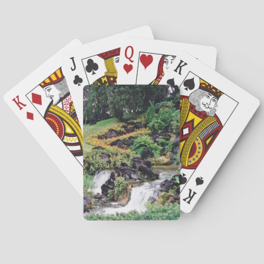 ヒーリングウォーター トランプ (裏面)