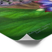 ヒーリングロトス – サードアイファインアートポスター/プリント ポスター (角)