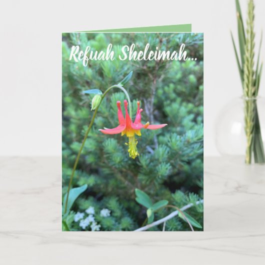 ヒーリング祈りの言葉、レファ·シェライマ カード (正面)