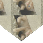 ヒーロすごいオレンジ虎猫子天 テーブルクロス (アングル)