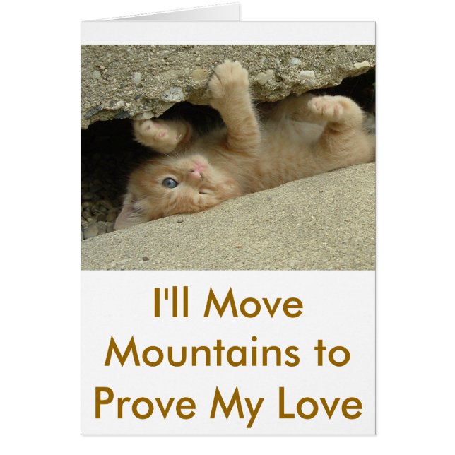 ヒーローすごいの猫 (正面)