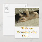 ヒーローすごいの猫 ポストカード (正面/裏面)