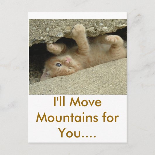 ヒーローすごいの猫 ポストカード (正面)