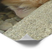 ヒーローすごいキティ猫ユーモア ポスター (角)