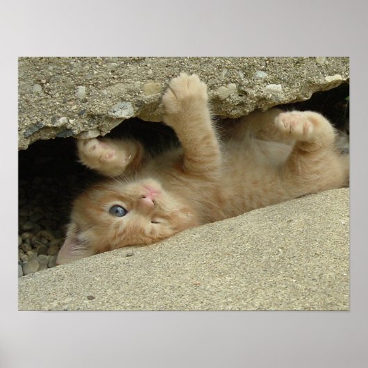 ヒーローすごいキティ猫ユーモア ポスター (正面)