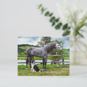 「ヒーロー&ザ・ボーイズ」のはがき ポストカード (スタンド正面)