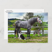 「ヒーロー&ザ・ボーイズ」のはがき ポストカード (正面/裏面)