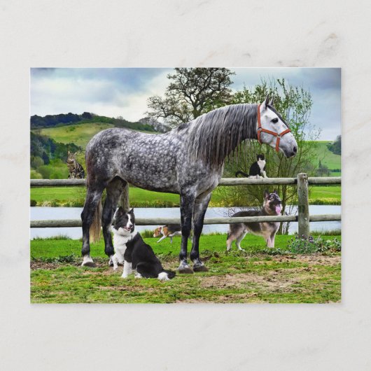 「ヒーロー&ザ・ボーイズ」のはがき ポストカード (正面)