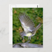 ヒ素晴らしラシ ポストカード (正面/裏面)