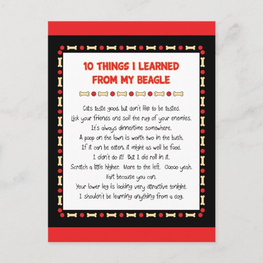 ビおもしろいーグル学のもの ポストカード (正面)