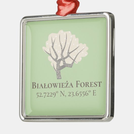 ビアウォウィジェスフォレスト緯度と経度 メタルオーナメント (左)