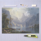 ビアスタットマウンテンレイクウィルダネスティッシュペーパー 薄葉紙 (クラフト)