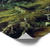 ビアッカ国の松林 ポスター (角)