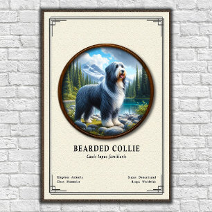 ビアデッド・コリー動物学シリーズ ポスター