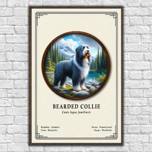ビアデッド・コリー動物学シリーズ ポスター