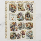 ビアトリクス・ポターのイラスト Part 2 (正面/裏面)