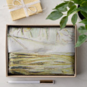 ビアトリクス・ポッターによるスイレンの葉の上のジェレミー・フィッシャー 薄葉紙 (ギフト)