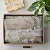 ビアトリックス・ポッターによるパイとパティパン 薄葉紙 (ギフト)