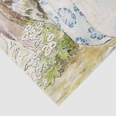 ビアトリックス・ポッターによるパイとパティパン 薄葉紙 (詳細)