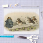 ビアトリックス・ポッター『ギニア豚の庭』 薄葉紙 (クラフト)