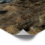 ビアリッツ ポスター (角)