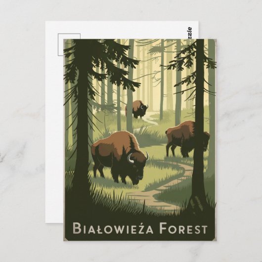 ビアロウィーザフォレストポーランドヴィンテージ ポストカード (正面/裏面)