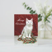 ビアンカのクリスマスポストカード – 猫/子猫 シーズンポストカード (スタンド正面)
