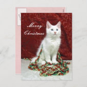 ビアンカのクリスマスポストカード – 猫/子猫 シーズンポストカード (正面/裏面)