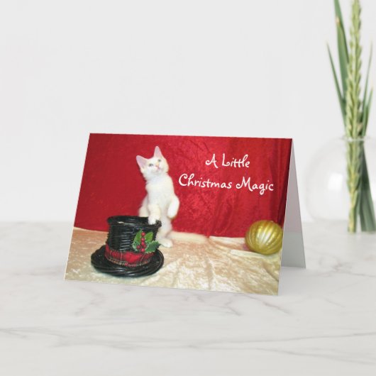 ビアンカの魔法ハットメーンクーンキャットクリスマスカード シーズンカード (正面)
