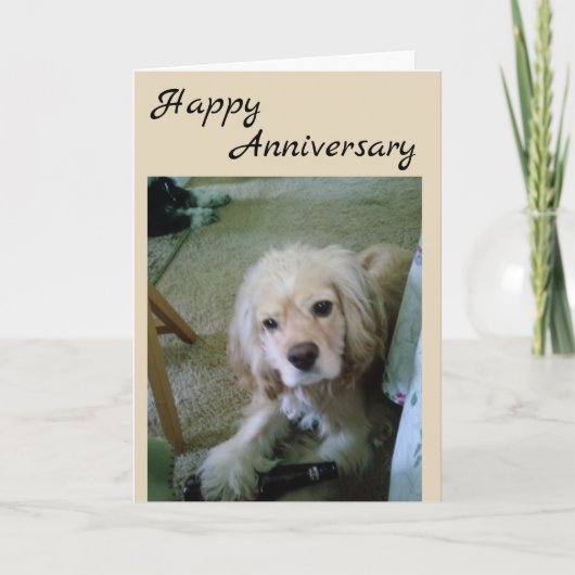 ビア・ハッピー・アニバーサリー コッカー・スパニエル カード (正面)