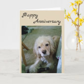 ビア・ハッピー・アニバーサリー コッカー・スパニエル カード (黄色い花)