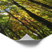 ビエスツァディ森林ポスター ポスター (角)